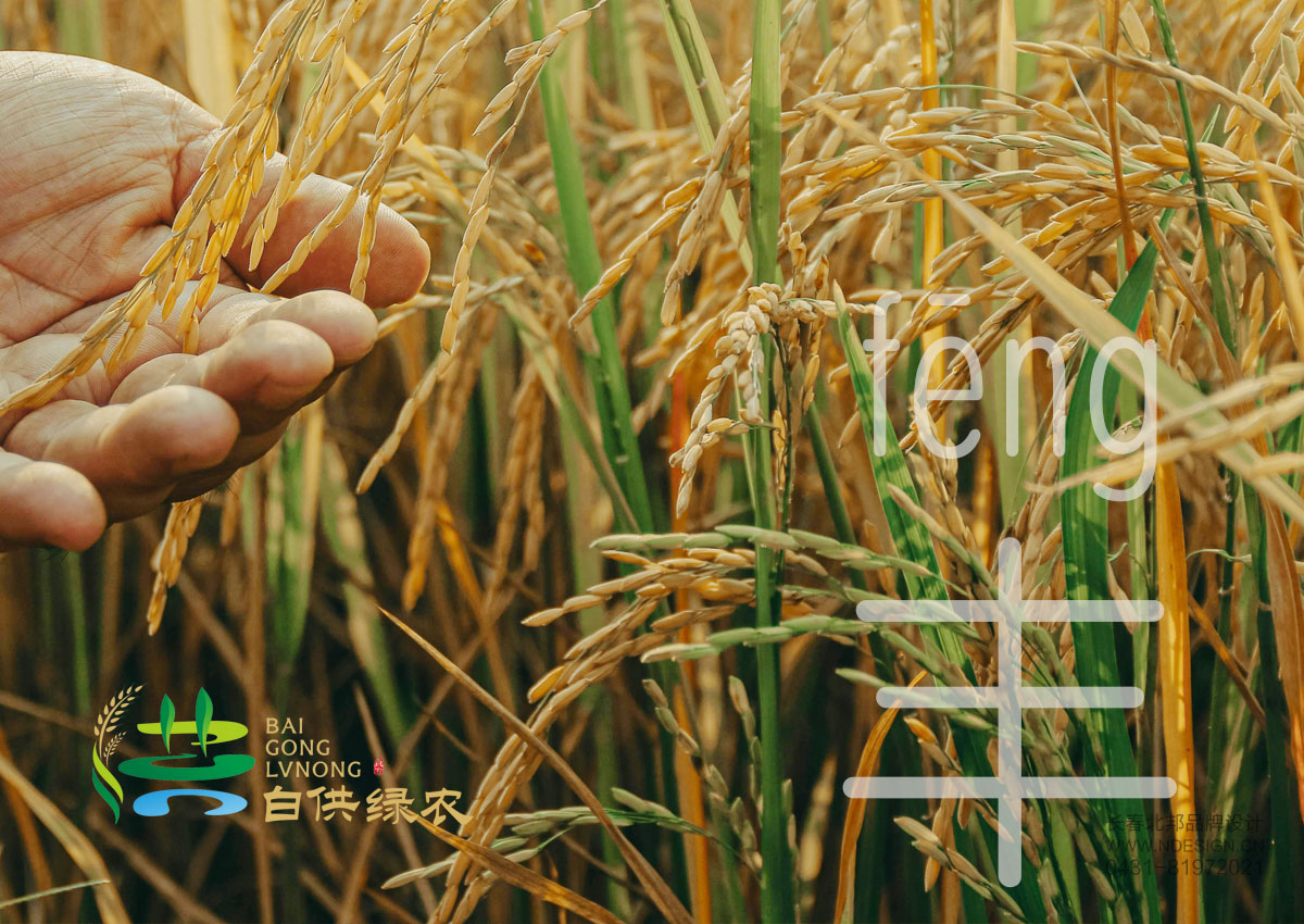 綠色品牌設(shè)計(jì),農(nóng)業(yè)品牌設(shè)計(jì),公共品牌設(shè)計(jì),公共品牌注冊(cè)